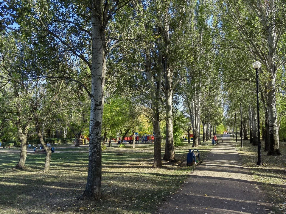 Котовский парк остался без части благоустройства.