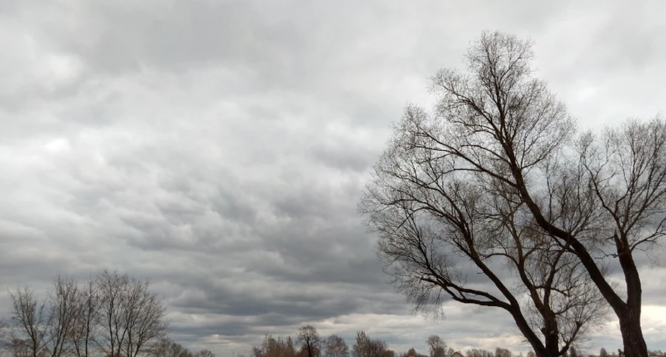 В Молдову пришла зима - но без снега. Фото:соцсети