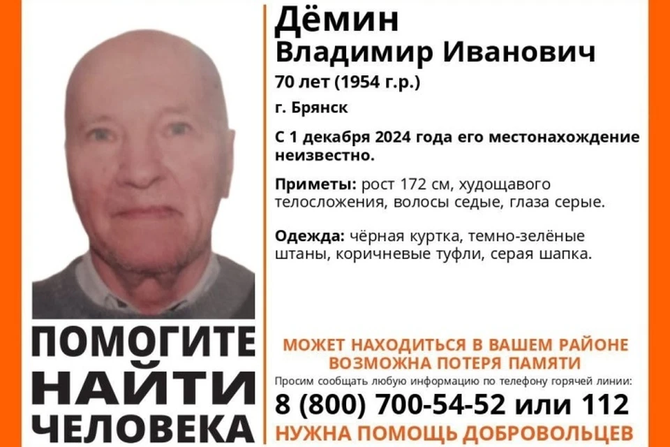 Фото: поисковый отряд "Лиза Алерт", ВКонтакте.