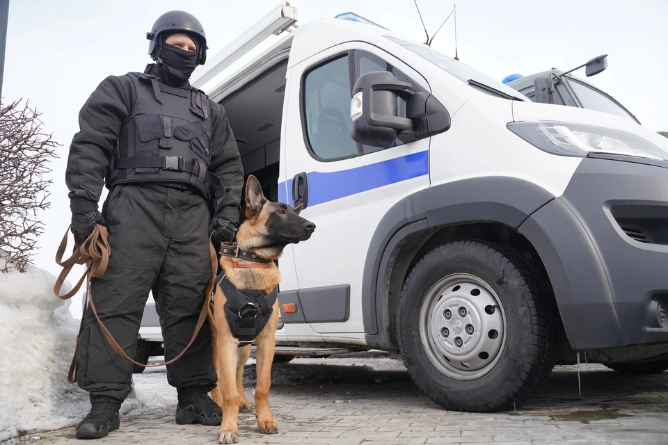 В правительстве региона липчанам напомнили, что необходимо сохранять спокойствие и следовать инструкциям работающих на местах сотрудников правоохранительных органов.