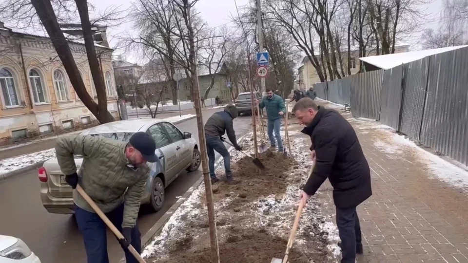 Высадили новые деревья на месте сломанных на улице Воскресенской