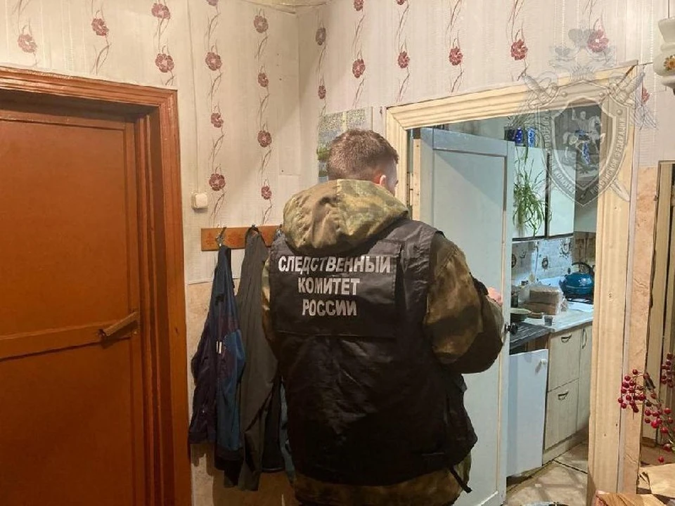 Фото: пресс-служба СУ СК России по Костромской области