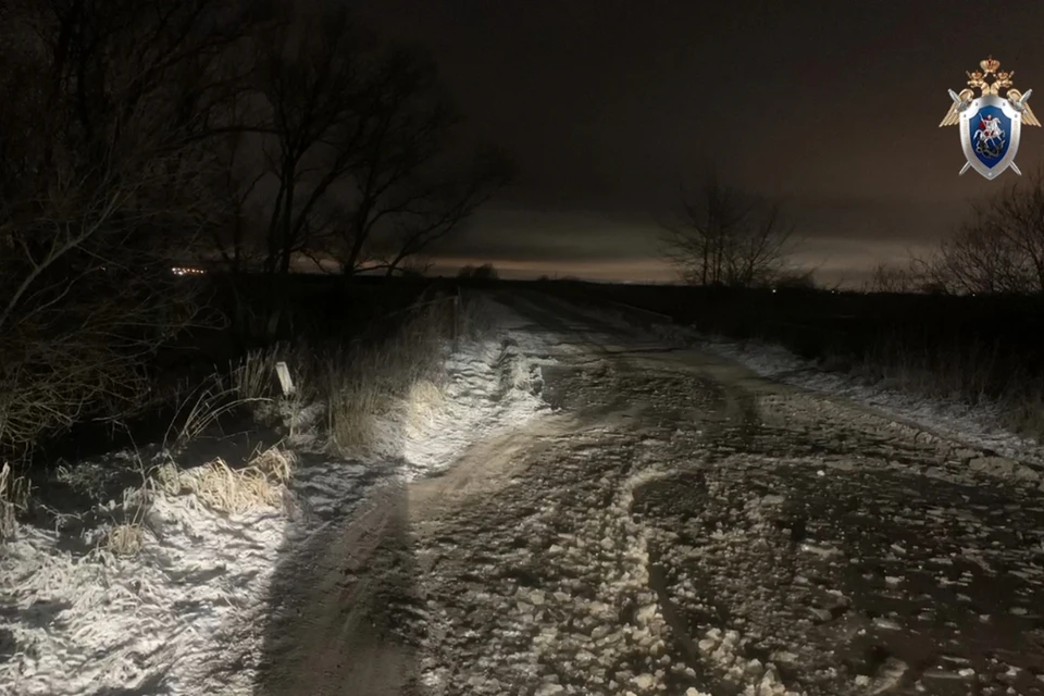 Человеческие гости нашли в городе Тельмана. Фото: СУ СК России по Ленобласти