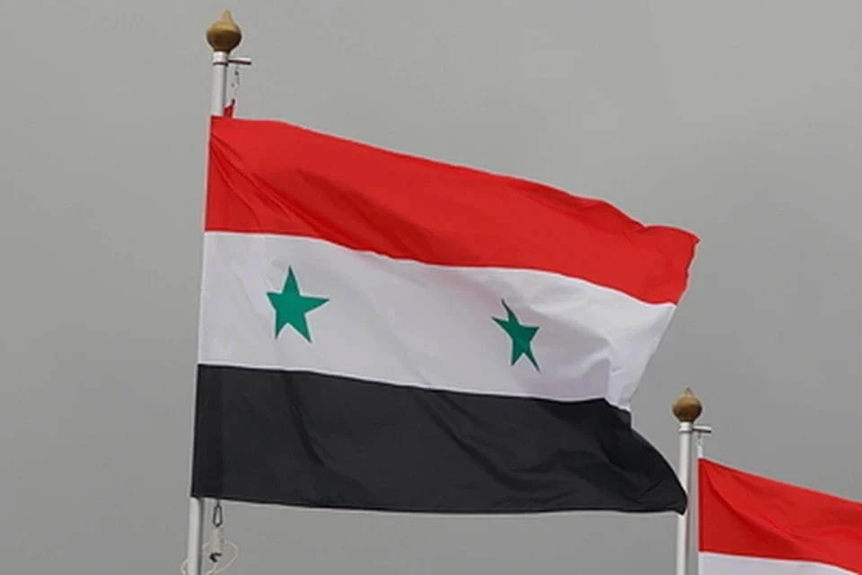 Протестующие снесли памятник отцу президента Сирии Башара Асада в Дамаске