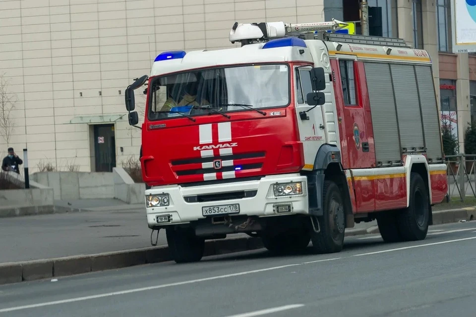 Мужчина и женщина погибли в пожаре в пятиэтажке в Луге.