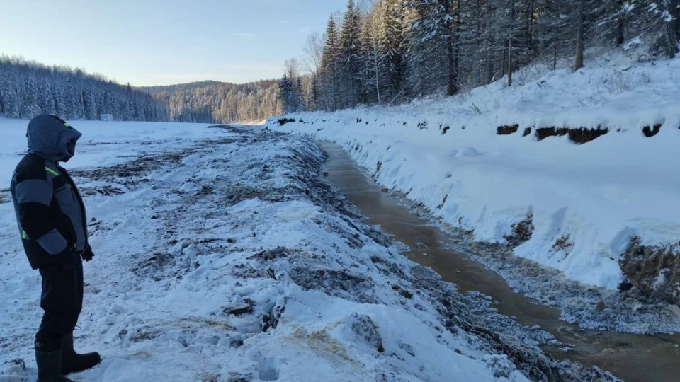 Фото: прокуратура Красноярского края