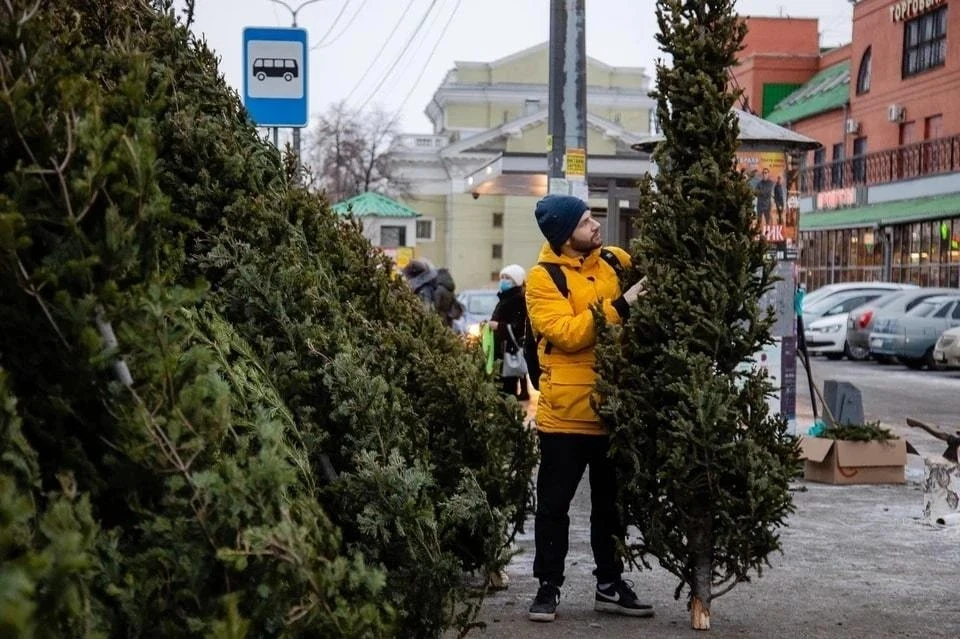 Всего в Челябинске откроют 100 елочных базаров