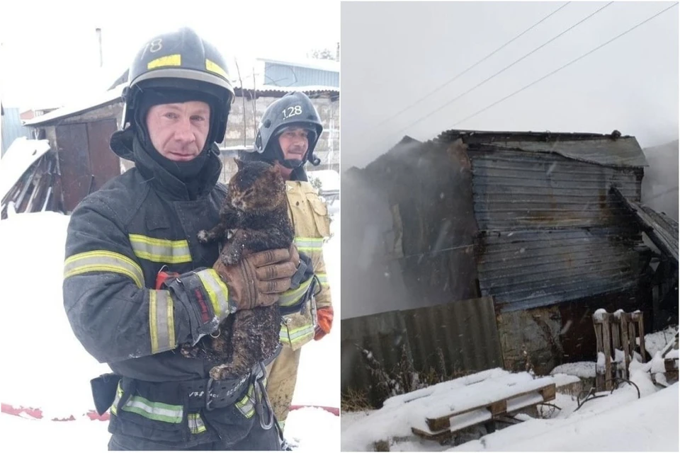 Чаще всего пожарные находят кошек. Фото: ГКУ СО «Центр по делам ГО, ПБ и ЧС».