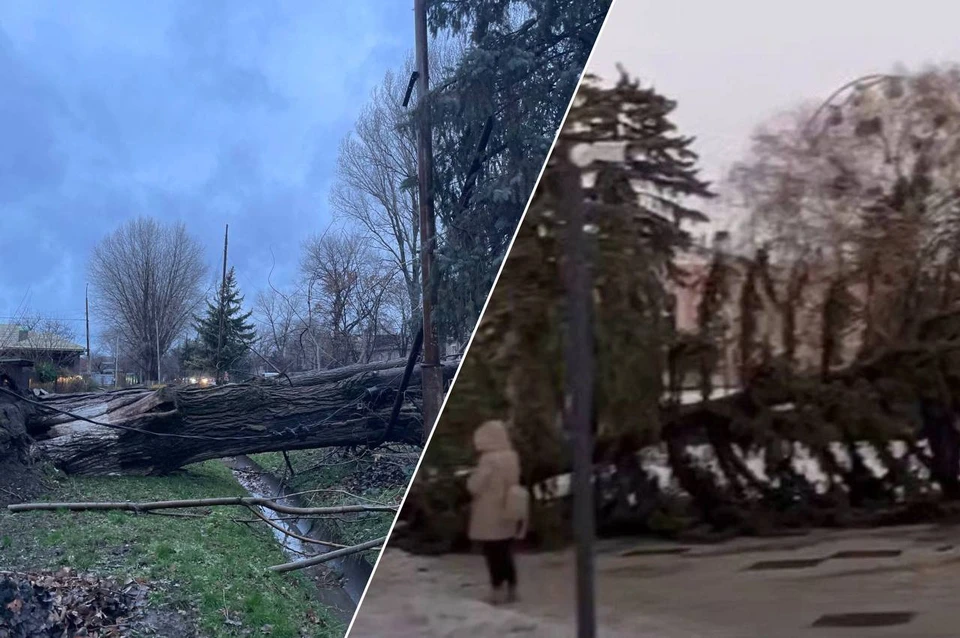 Предварительно, в происшествиях никто не пострадал. Фото: тг-канал главы Изобильненского округа/соцсети