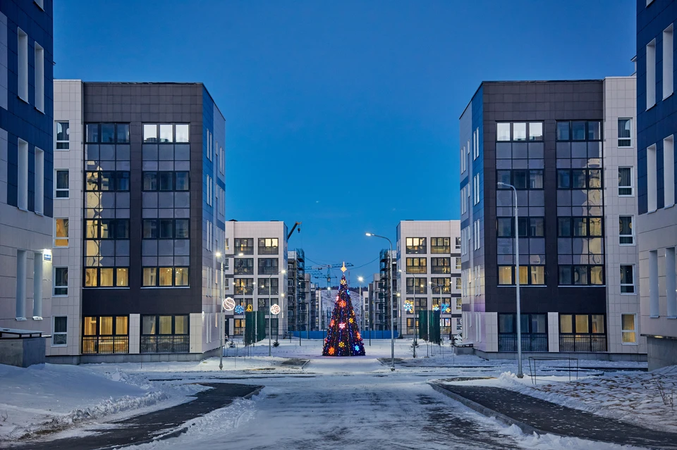 Микрорайон «Алексеевский». Фото: пресс-служба Амурского ГПЗ.