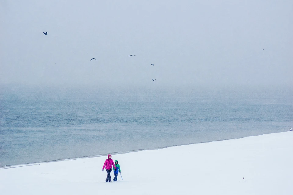 Пассажиров просят быть внимательными при планировании поездок