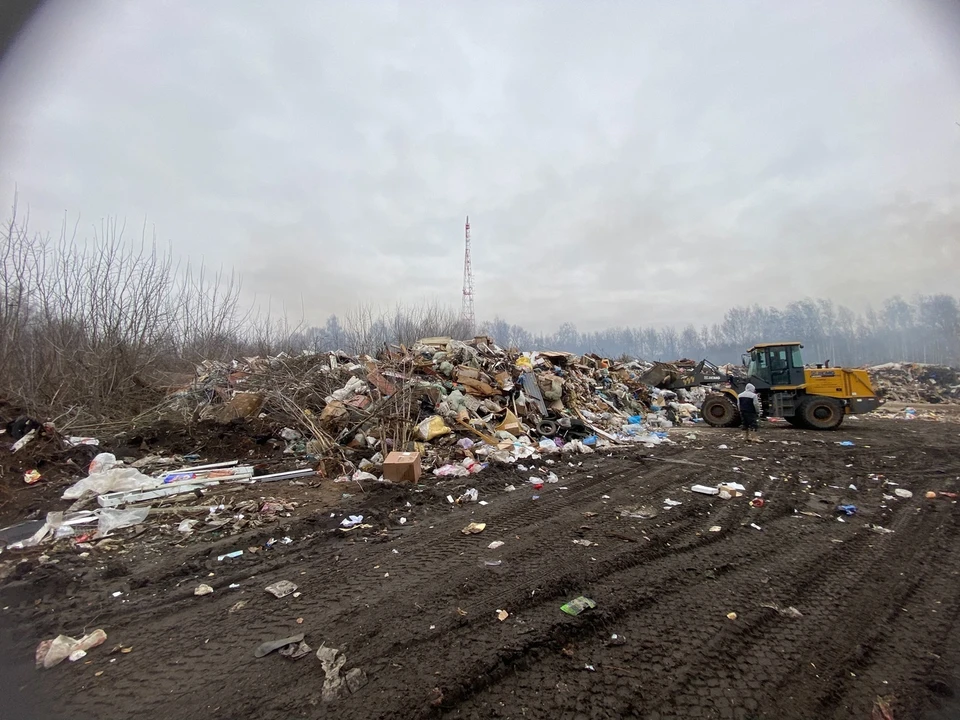 Фото: прокуратура Владимирской области