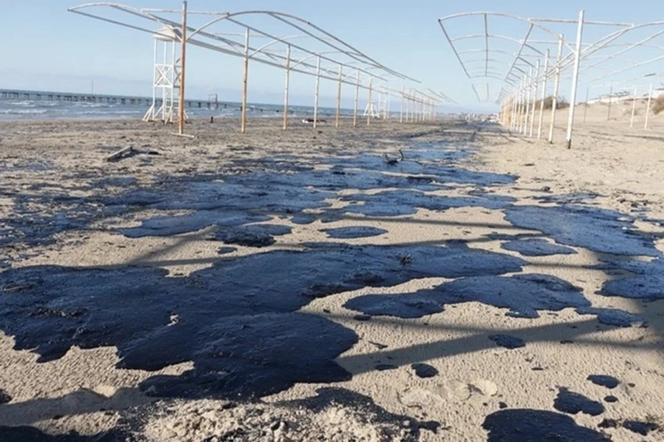 Пляжи Черного моря продолжают спасать