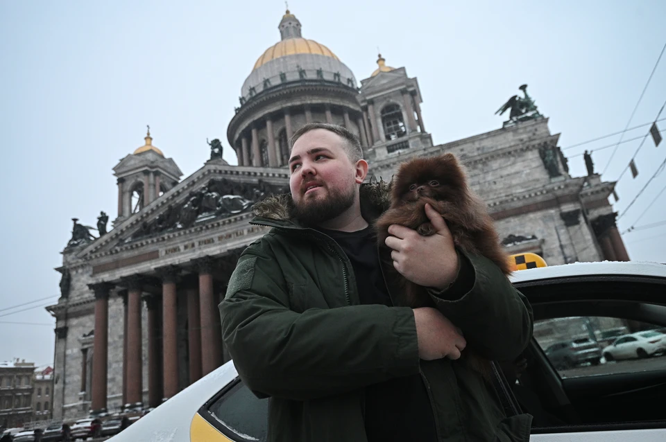 В Петербурге поселился замечательный пес-таксист.