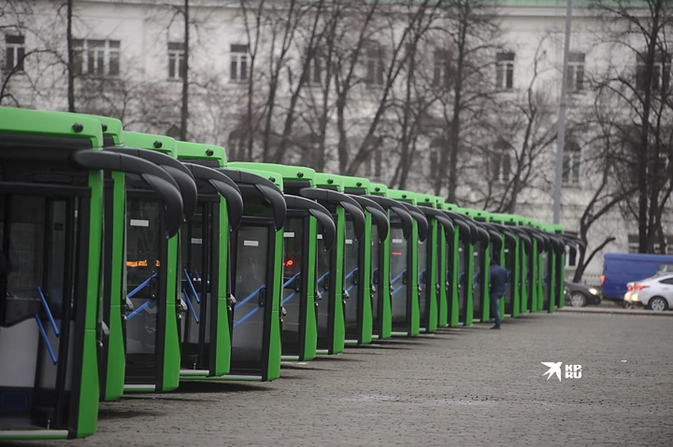 Автобусы выйдут на маршрут 9 января 2025 года