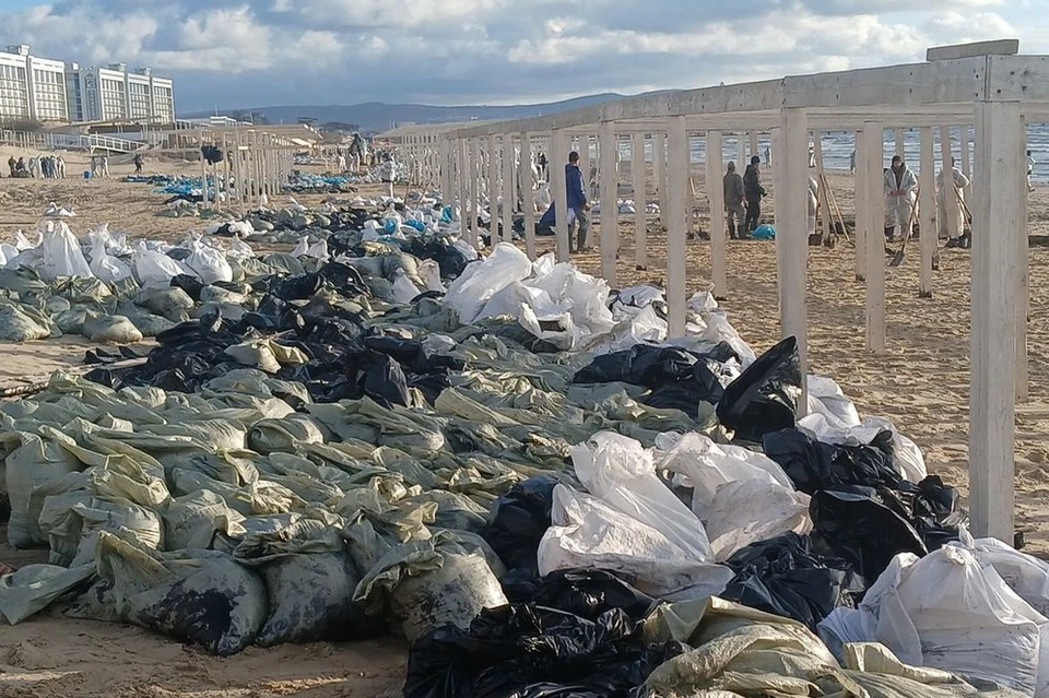 С начала ЧС было собрано больше 20 тысяч тонн песка, пропитанного мазутом Фото: Сергей Партин