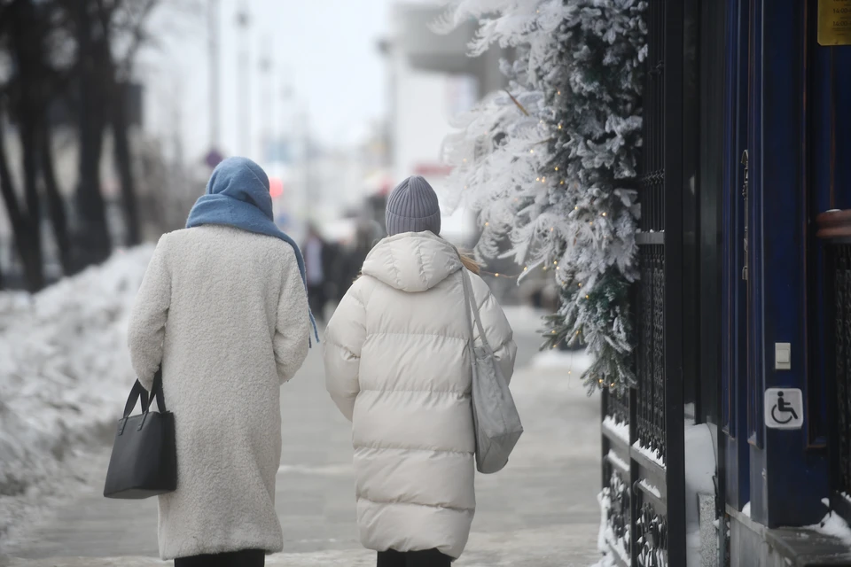 Перепады температуры в январе, по прогнозам синоптиков, составят 24 градуса.