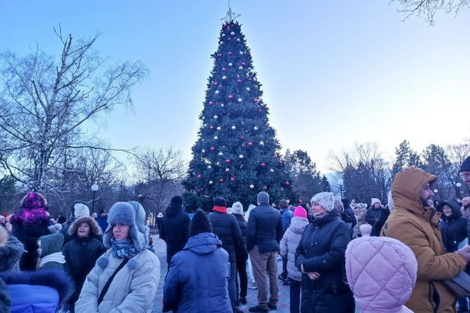 За счет отпуска можно продлить Новогодние праздники. Фото: АГ ДНР