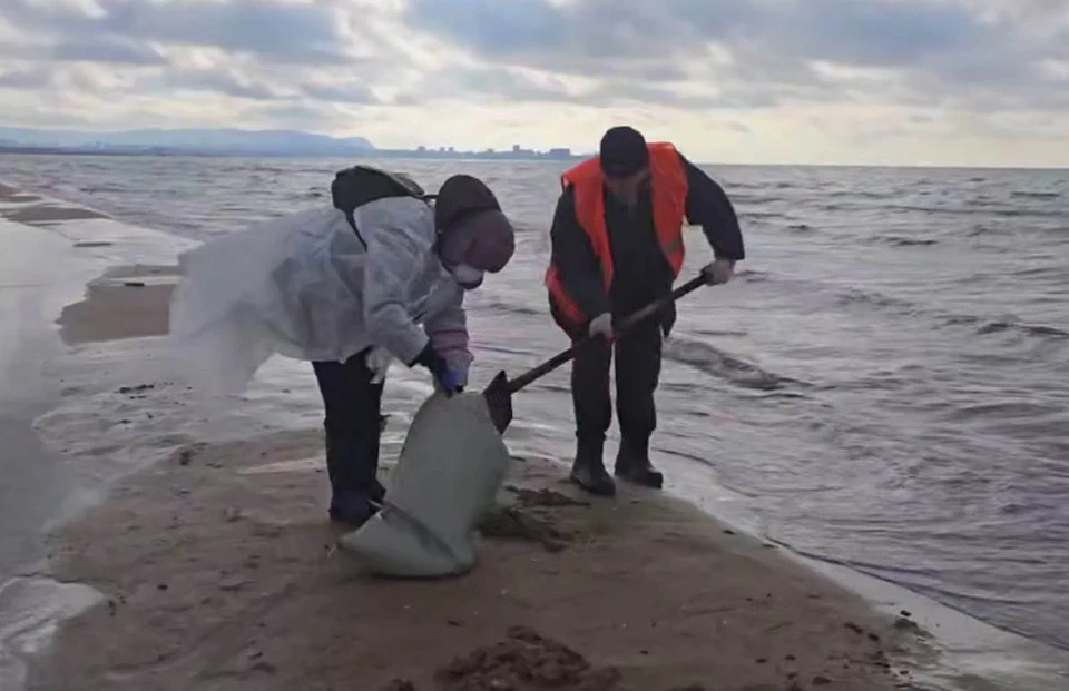 Фото: скриншот видео краевого оперштаба