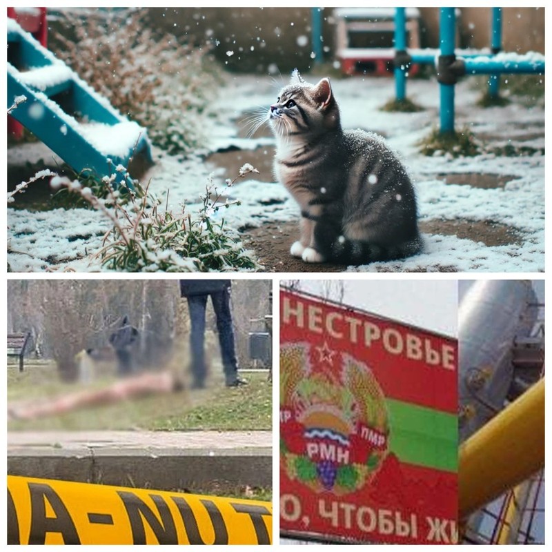 Главные новости в Молдове.