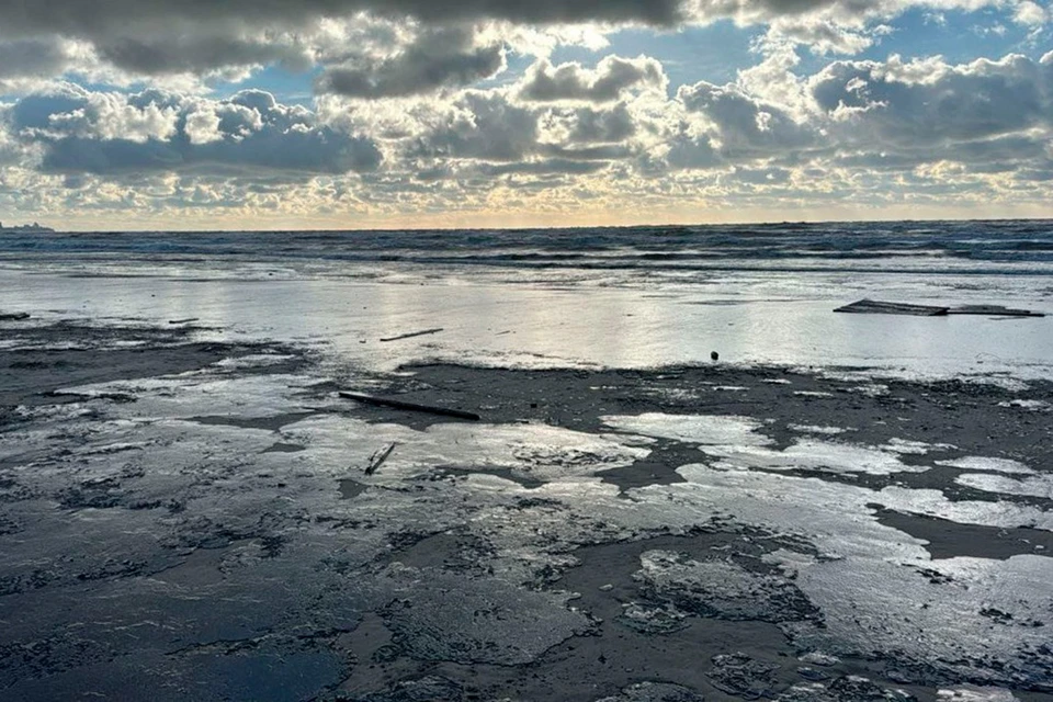 Так выглядели пляжи Анапы 17 декабря, во время выброса мазута на берег. Фото: Евгений Григоренко