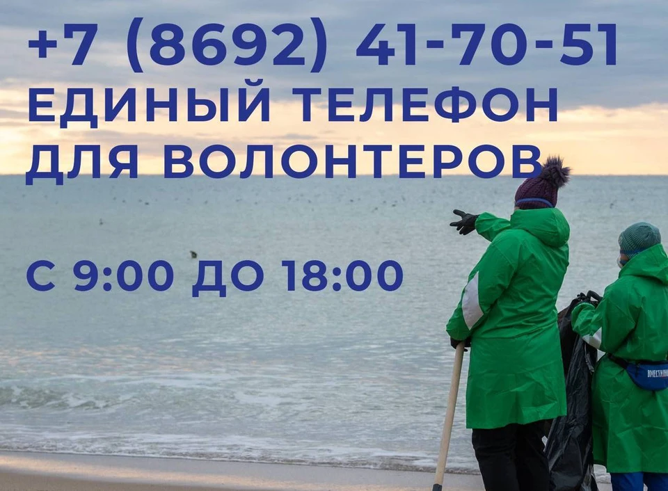 Уже вывезено 140,7 тонны отходов. Баннер: телеграм-канал Михаила Развожаева