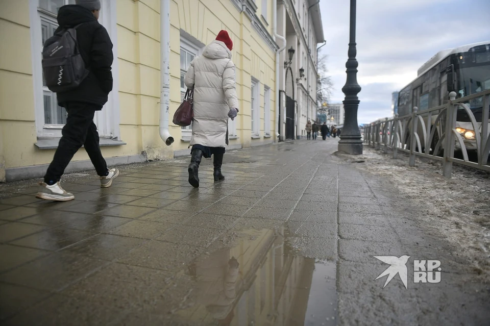 Из-за оттепели в январе в Екатеринбурге появились лужи