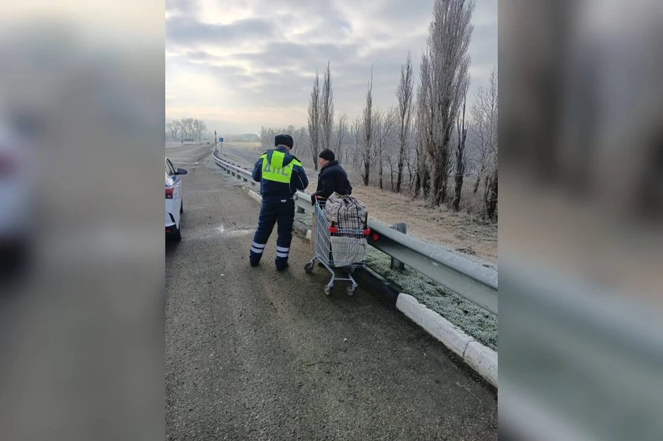 Спящего пенсионера заметили в лесополосе Фото: ОМВД по Каневскому району