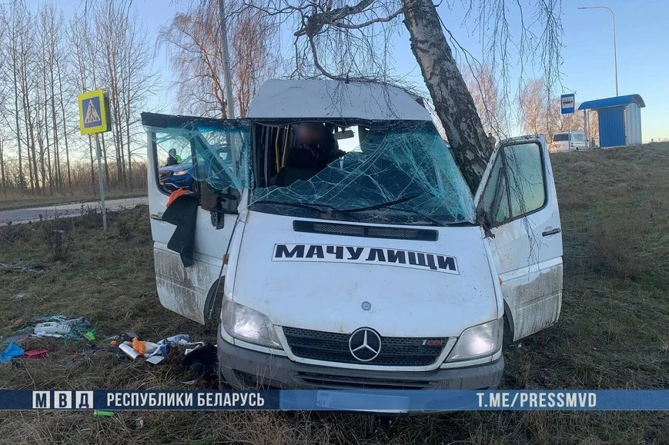 Маршрутка опрокинулась под Минском 19 января. Фото: МВД.