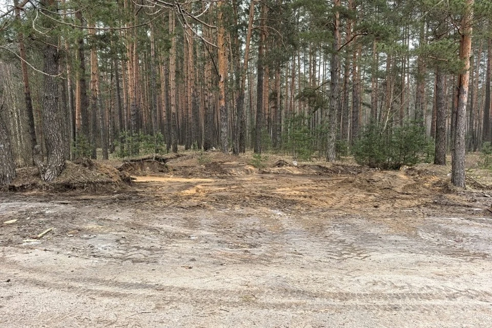 Фото: пресс-служба Брянской городской администрации.