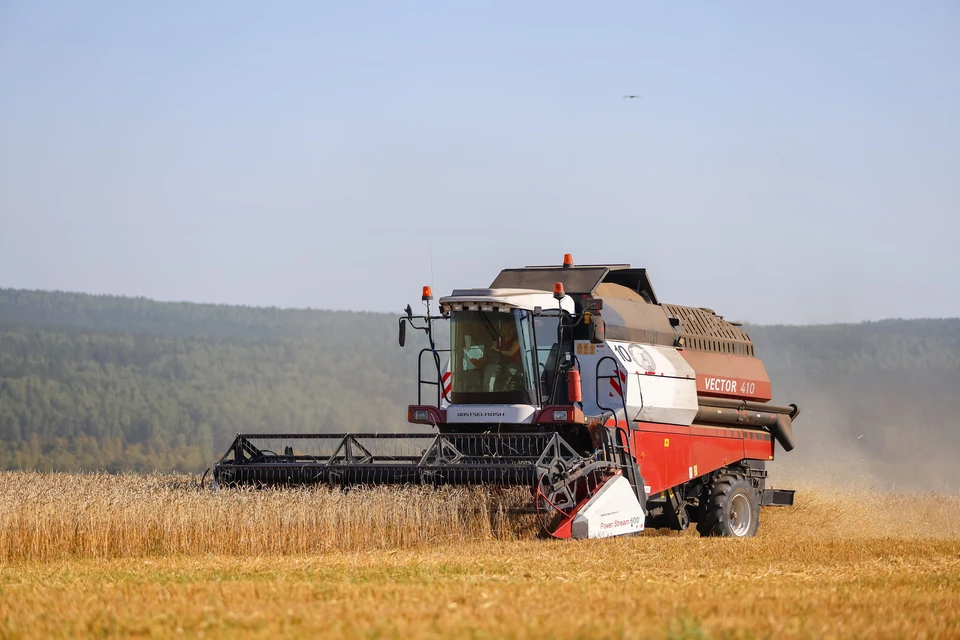 Новосибирская область увеличила экспорт аграрной продукции.