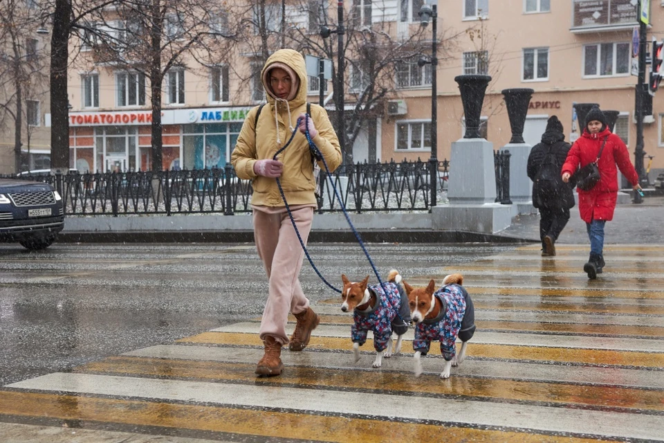 Аномальное тепло в южных и центральных регионах продлится до конца января