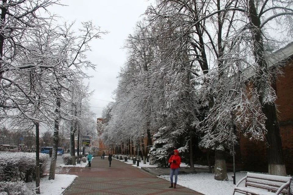 Потепление и осадки ждут нижегородцев в последние дни января