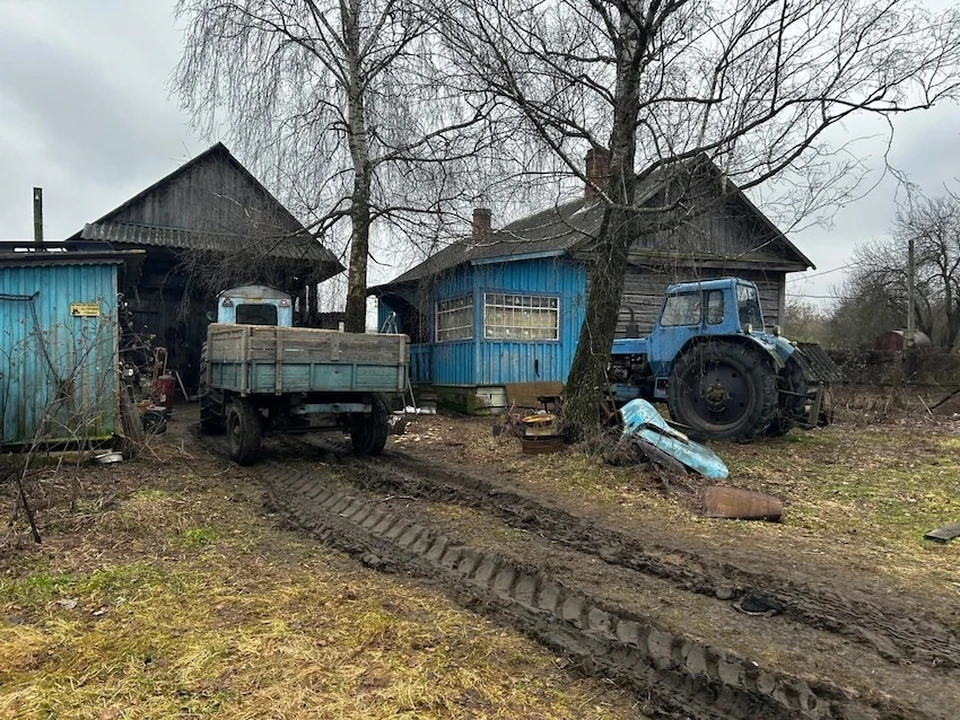 СК: Черного лесоруба из Калужской области проверят на вменяемость. Фото: Telegram-канал прокуратуры региона