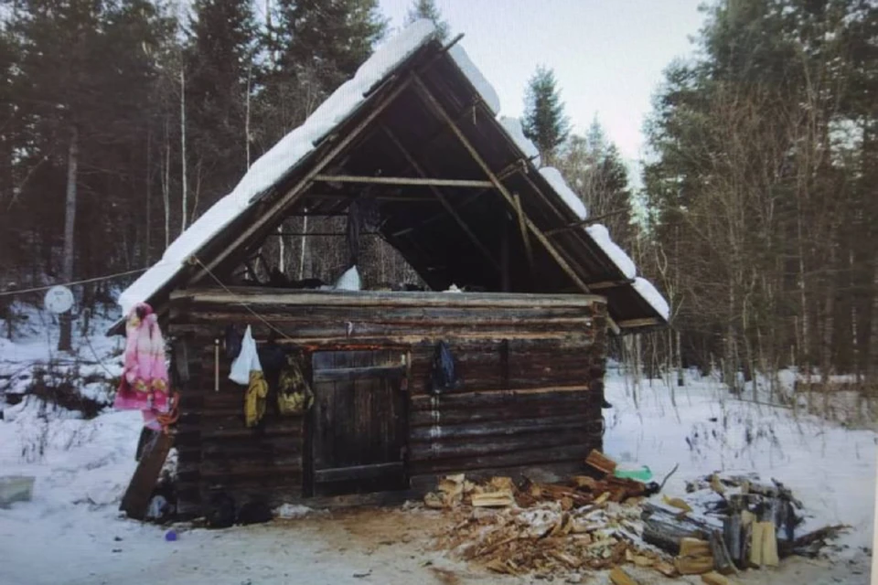 Прямо в охотничьем домике тигр напал на человека