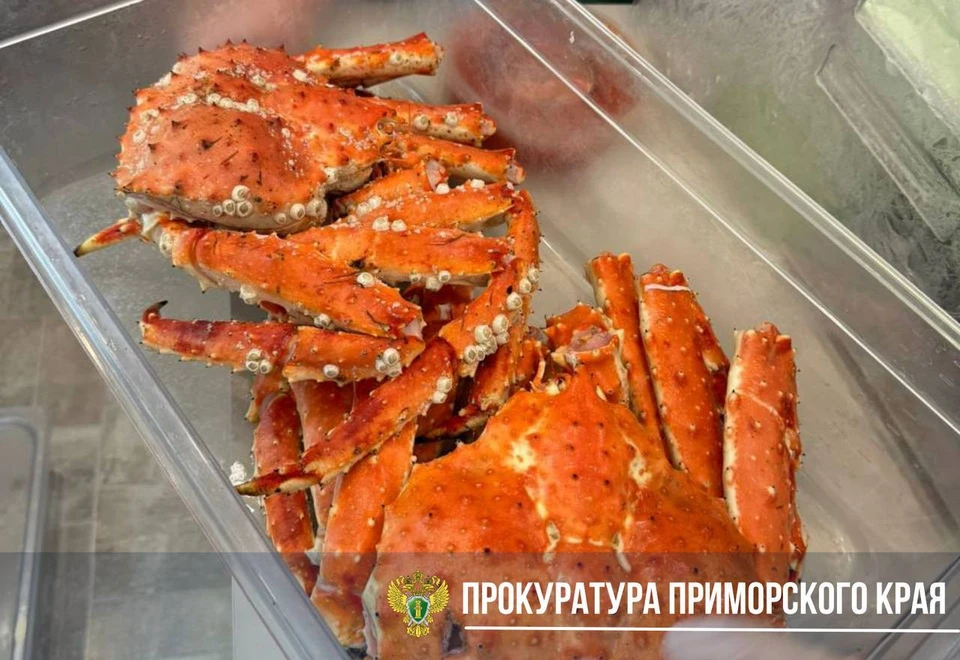 Морепродукты предприниматель реализовывал без специальной упаковки, без маркировки и с истекшим сроком годности. Фото: прокуратура Приморья