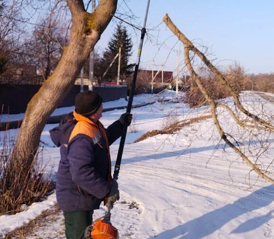 Ульяновские озеленители привели в порядок заросли вдоль дороги к СНТ «Рассвет». ФОТО: тг-канал Центра по благоустройству и озеленению