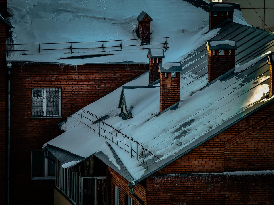 Фото: Дмитрий Еланаков