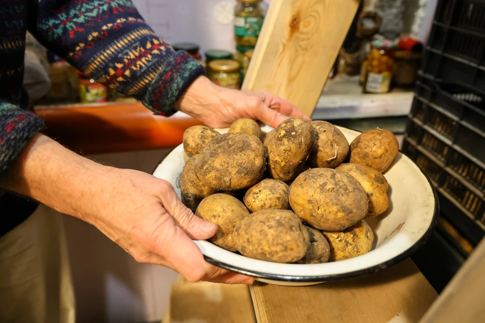 Средняя цена картофеля по региону составляет 62 рубля и 61 копейку.