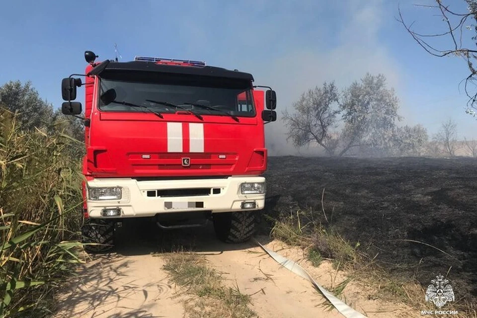 Пожары сухостоя и мусора произошли в регионе 11 февраля. Фото: ГУ МЧС России по Херсонской области