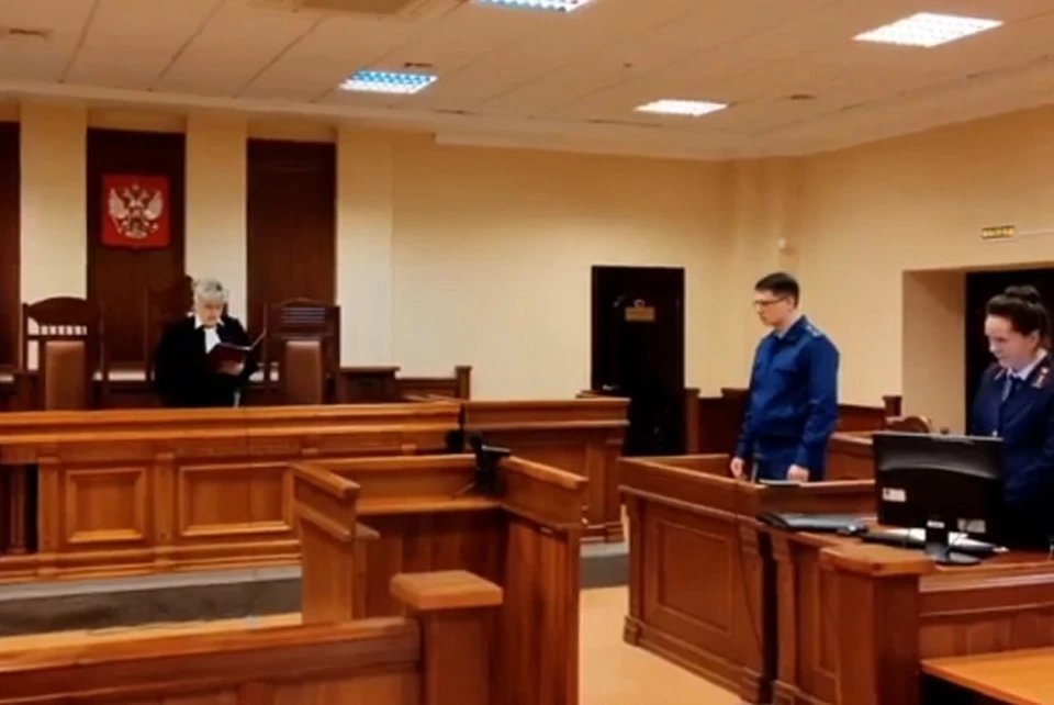 В Костроме осудили мужчину, который хотел сотрудничать с запрещенной организацией. Скриншот с видео, Костромской областной суд