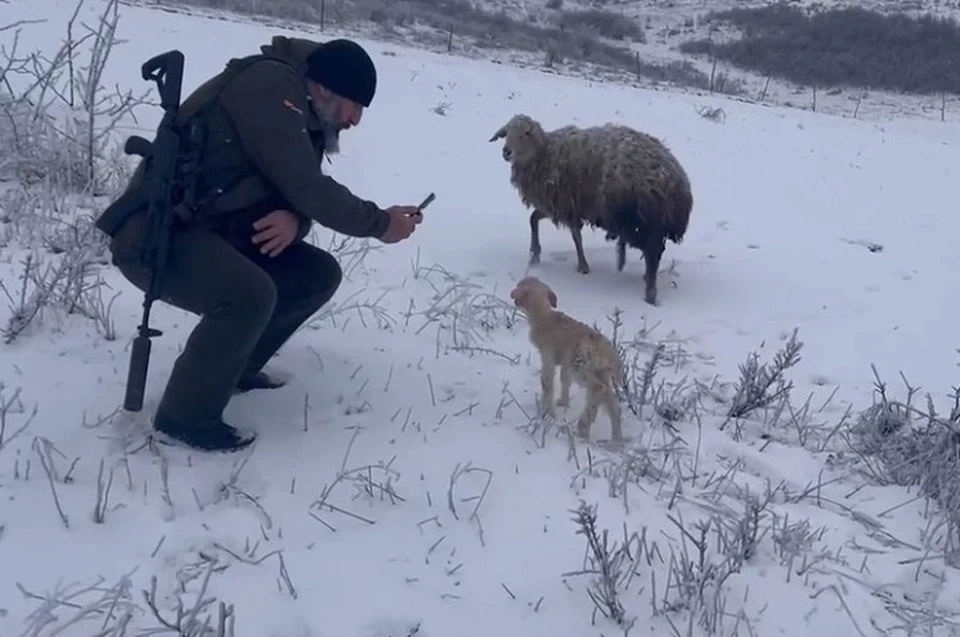 Фото: кадр видео из соцсетей минприроды РИ