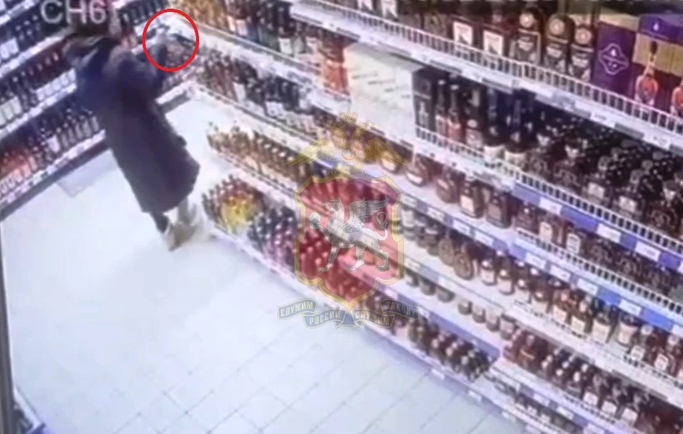 Действия злоумышленницы зафиксированы. Фото: 82.мвд.рф