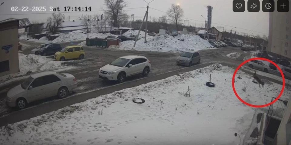Фото: скриншот видео камеры видеонаблюдения в доме по улице Леонида Маслова
