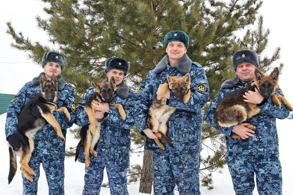 Фото: Пермский институт ФСИН России