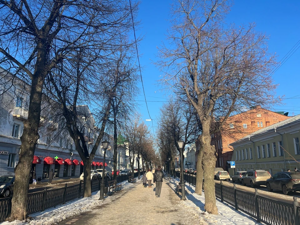Фото: Анна Апурина