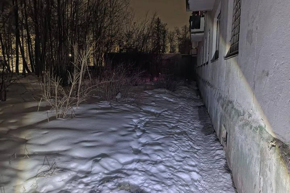 Подозреваемый водворен в следственный изолятор. Фото: пресс-служба СУ СКР по Удмуртии
