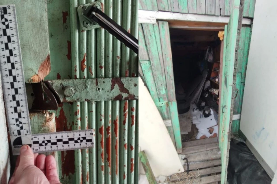 Под Новосибирском поймали подозреваемых в квартирной краже на 70 тысяч рублей. Фото: ГУ МВД по НСО.