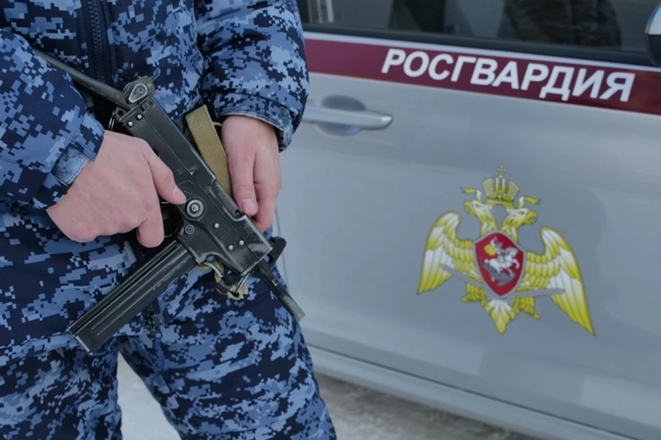 Сотрудники Росгвардии предотвратили ДТП в Биробиджане