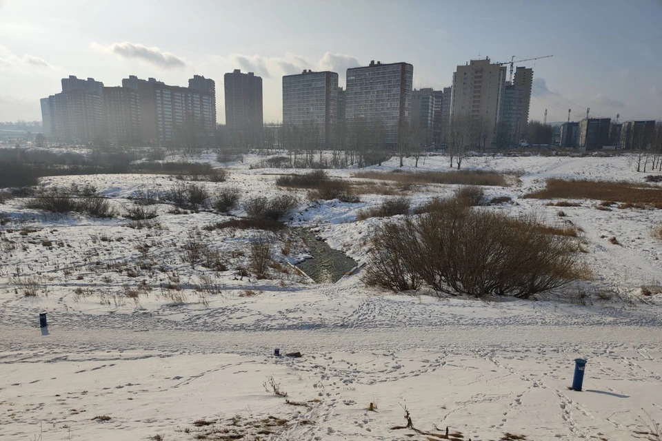 Фото: администрация Красноярска
